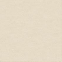 2005 Creme white