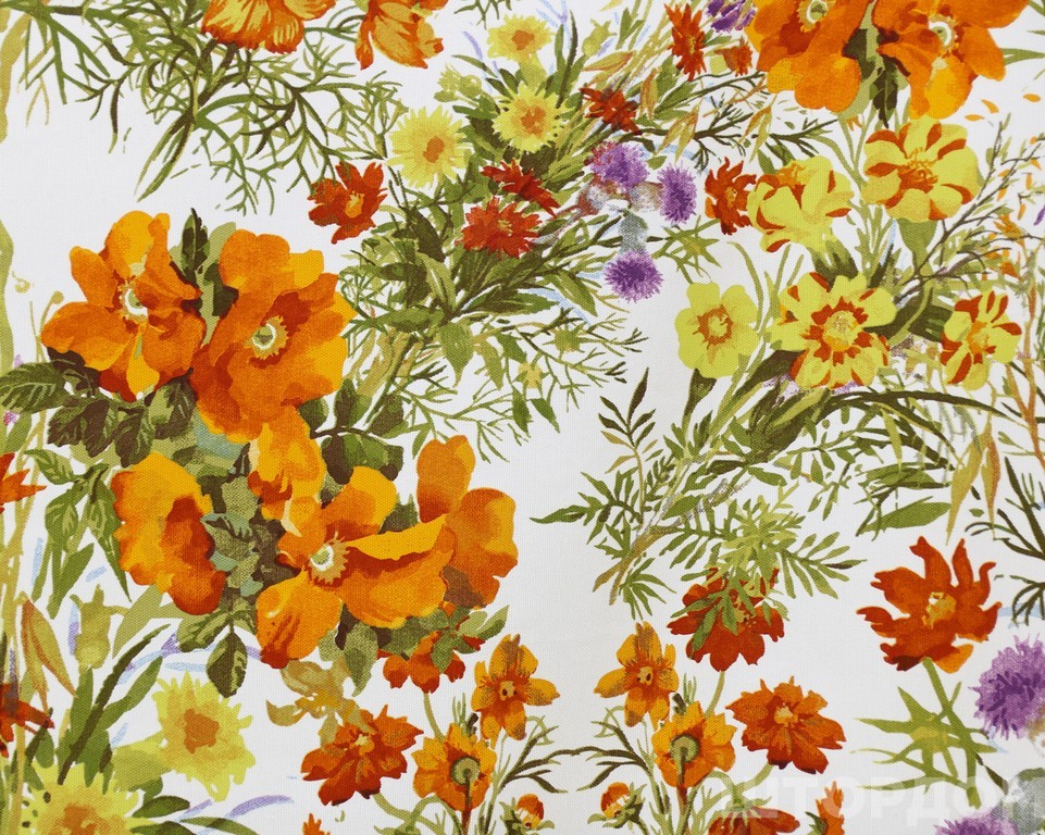 Primavera 111151650