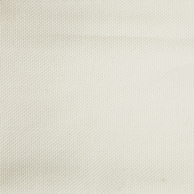 Hosta 111555115