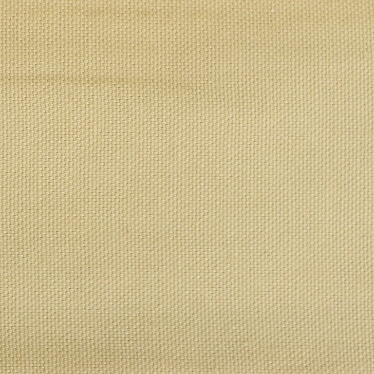 Hosta 111555120