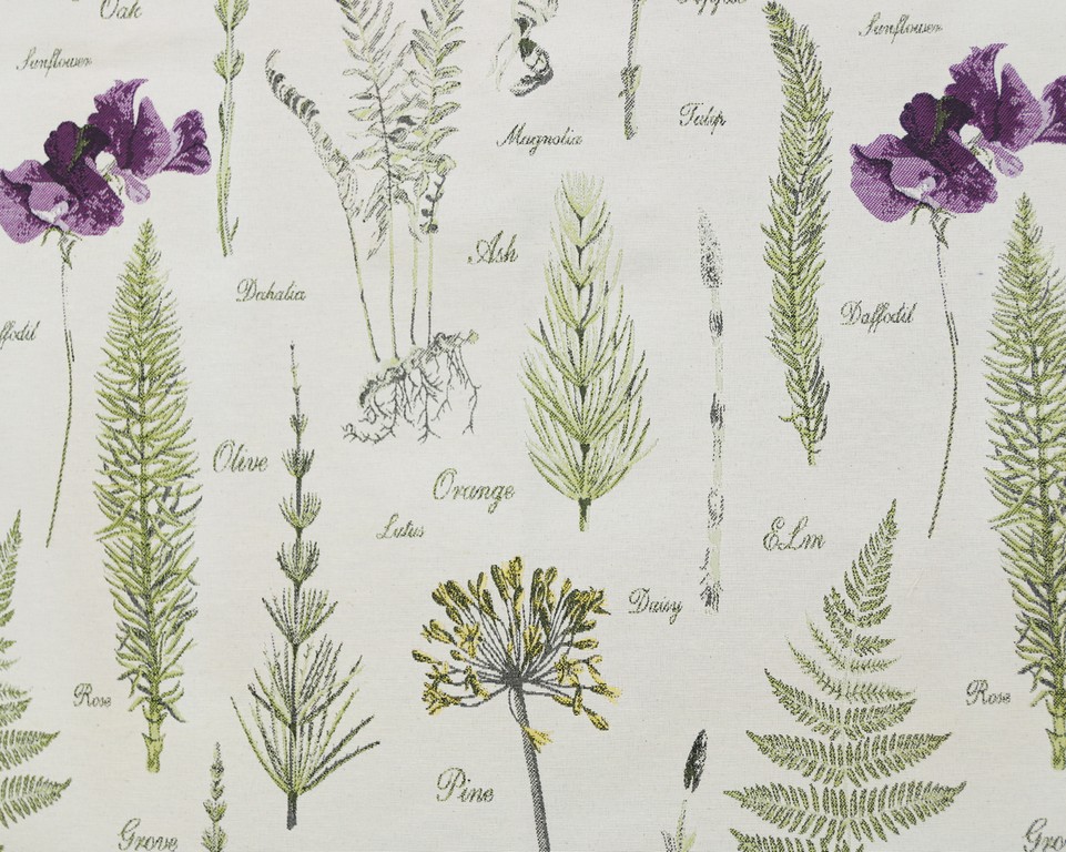 Botany-XL 111612276