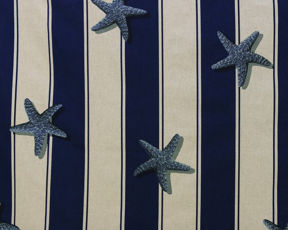 Sea Star 111356136