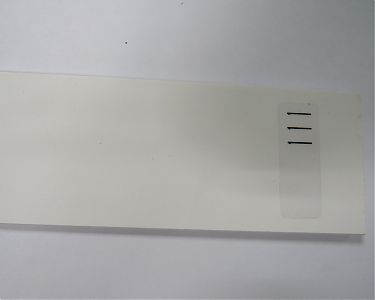 zhalyuzi-111